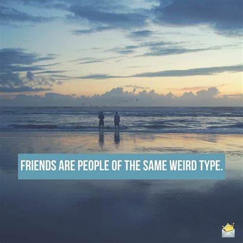 160 Friendship Quotes | The Value of Best Friends