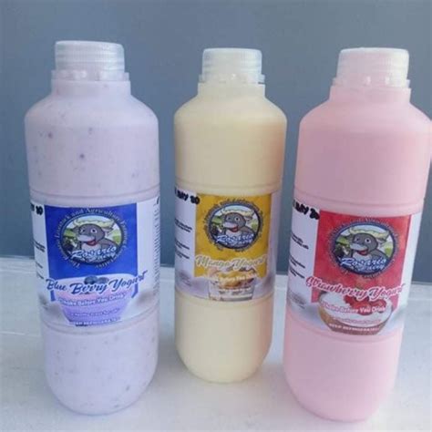 Carabao's Milk at 180.00 from Batangas. | LookingFour Buy & Sell Online