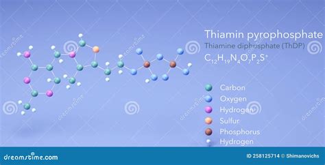 Thiamine Pyrophosphate, Molecular Structures, Thiamine Diphosphate, 3d ...