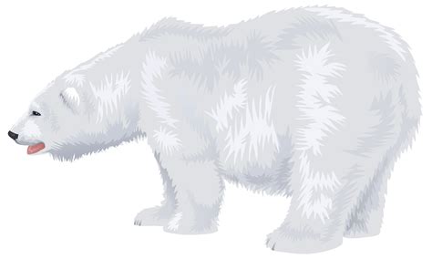 Polar Bear Png Clipart Clip Art Library | Images and Photos finder