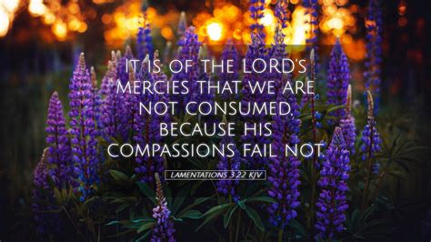 Lamentations 3:22 KJV Desktop Wallpaper - It is of the LORD's mercies ...