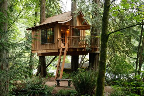 TreeHouse Point