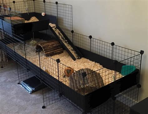 Gallery - C&C Guinea Pig Cages - Mesh and Grid Cages for Pets