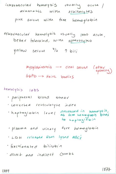 1389. Intravascular vs. extravascular hemolysis // Hemolysis labs ...