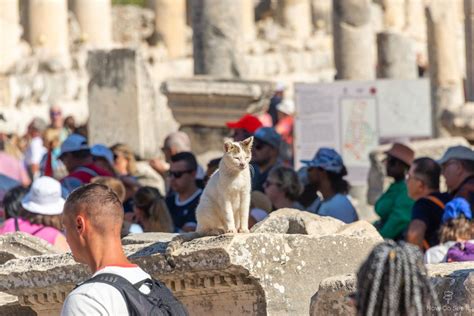 Ancient Ephesus from Cruise Port Kusadasi