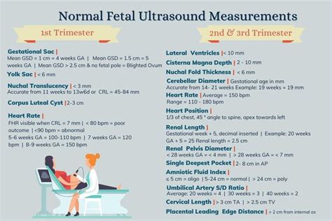 Normal fetal US measurements | Gestational age, Nuchal translucency ...