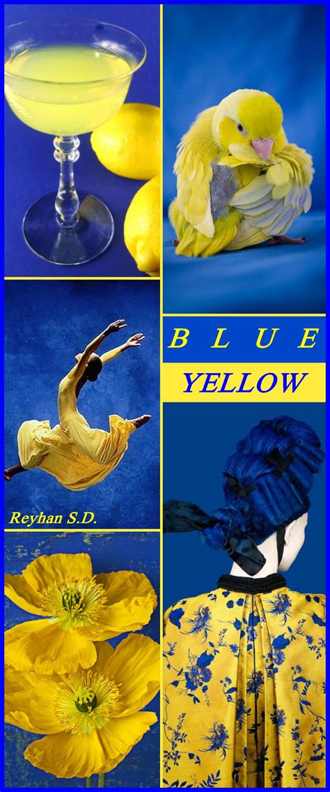 '' Blue & Yellow '' by Reyhan S.D. | Renk katalogları, Renkler