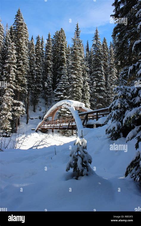 Rainbow Bridge in Winter Stock Photo - Alamy