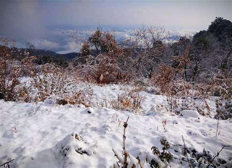 Beautiful Landscape Snowfall in Pinath, Someshwar Range of Mountains ...