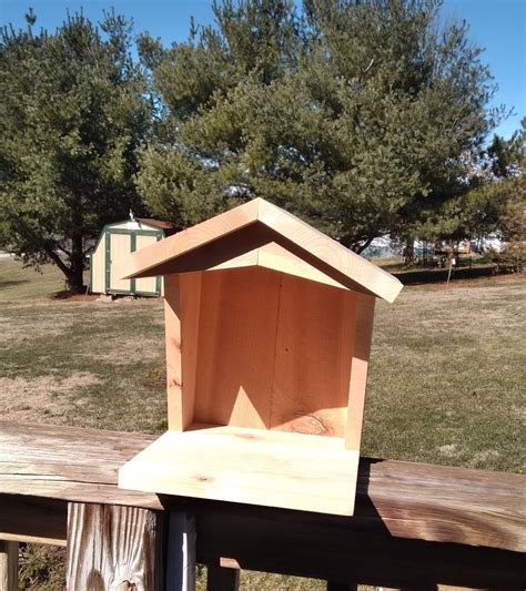 American Robin Nesting Platform Birdhouse Box Handmade From Rustic ...