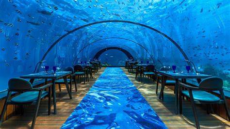 5.8 Undersea Restaurant at Hurawalhi, Maldives is open for bookings