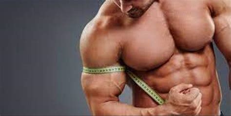 Best Steroid For Muscle Growth - Make Massive Gains In No Time ...