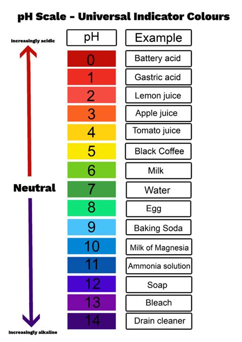 Ph Scale Examples