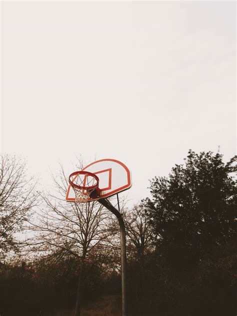 Download Basketball Hoop Playground Trees Wallpaper | Wallpapers.com