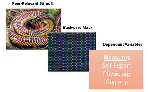 Evolutionary Evidence – Backward Masking and Nonconscious Processing of ...