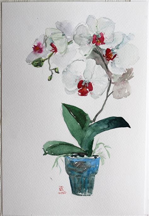 Original watercolor Orchid painting Flower fine art | Etsy