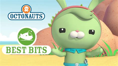 Octonauts: Tweak's Best Bits - YouTube