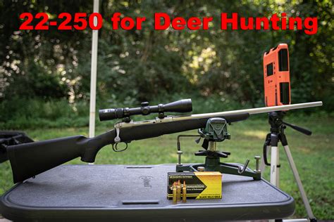 22-250 for Deer Hunting | Ammo Options & More