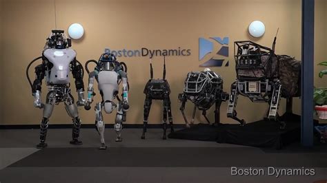 What Does the Future Hold for Boston Dynamics' Fleet of Robots?