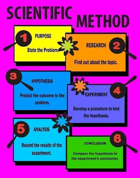 Image result for the scientific method bulletin board | Scientific ...