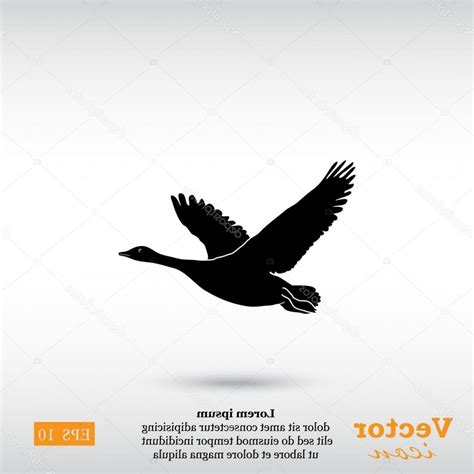 Flying Goose Vector at GetDrawings | Free download