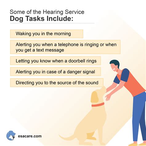 How to Get a Hearing Dog for The Deaf - ESA Care