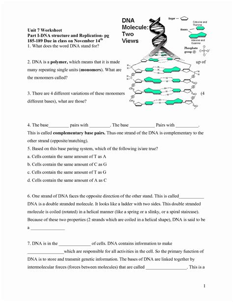 50 Dna And Rna Worksheet