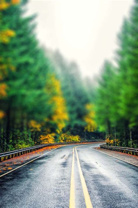 🔥 Blur Tree Nature Road Background HD Download | CBEditz