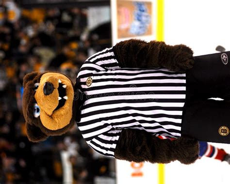 Blades Boston Bruins Mascot Editorial Image - Image of bruin, mascot ...