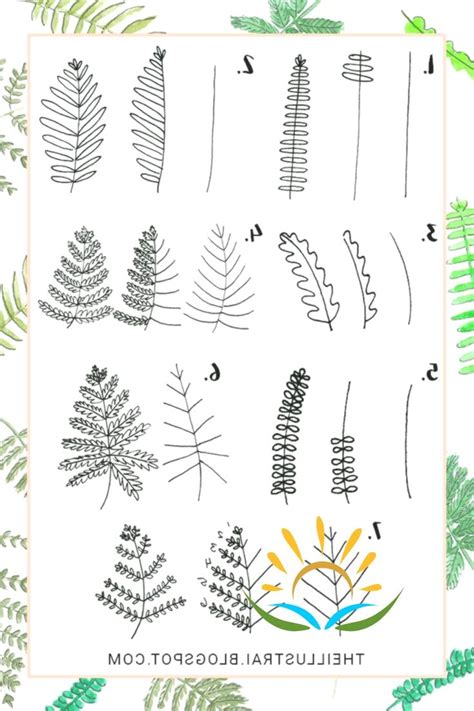 How To Draw Ferns Step By Step at Drawing Tutorials