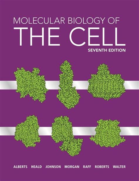 Molecular Biology of the Cell by Bruce Alberts Hardcover | Indigo ...