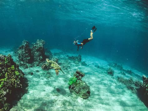 Best Snorkeling in the Caribbean - 11 Best Spots - Epic Caribbean