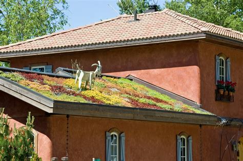 The 10 Best Green Roofs on U.S. Homes