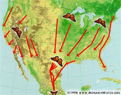 Monarch Butterfly Migration Map