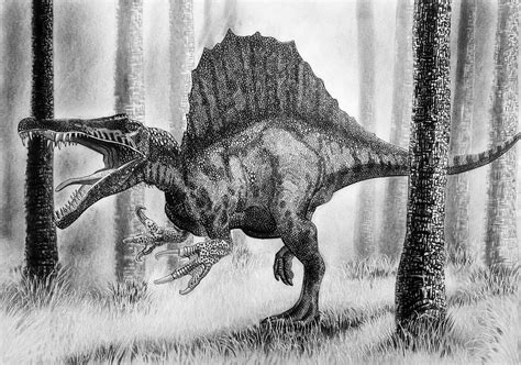 Spinosaurus by MikeArtsAssis on DeviantArt