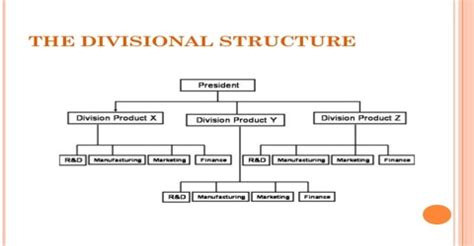 Divisional Structure: Definition in terms of Business Management - QS Study