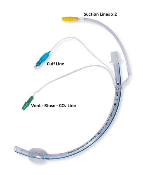 Cureus | The Use of a Novel Endotracheal Tube and Airway Management ...