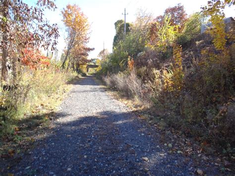 double d mountain runner: Methuen rail trail and Nevins bird sanctuary