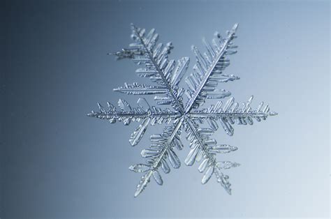 How history's first photos of snowflakes were made | CNN