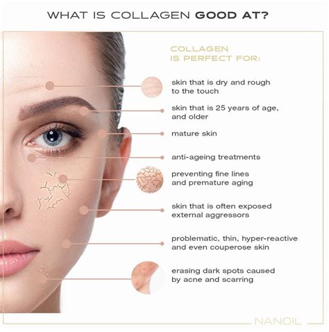 COLLAGEN - The Encyclopedia of Flawless Skin