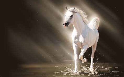 White horse running in the water HD desktop wallpaper : Widescreen ...