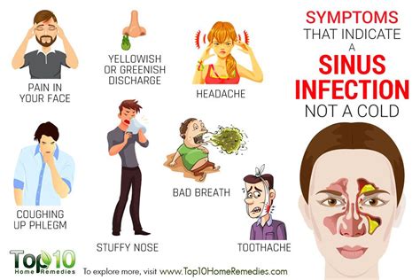 Symptoms that Indicate a Sinus Infection not a Cold | Top 10 Home ...