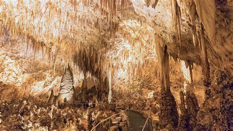 Carlsbad Caverns National Park | Audubon