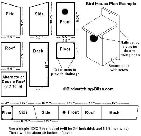 Luxury Robin Bird House Plans - New Home Plans Design