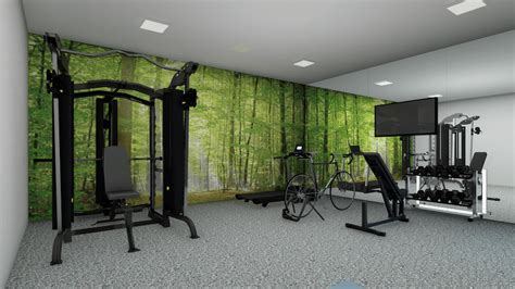 Top 10 Home Gym Design Ideas & Tips to Amp Up your Workout | Decorilla