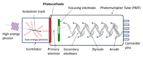 Important components of a photomultiplier tube. | Download Scientific ...