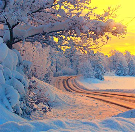 The winterlandscape | Winter scenes, Winter landscape, Winter pictures