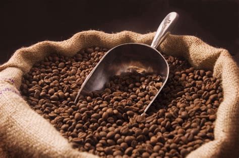 History of the Mocha Coffee Bean - The Murfreesboro Pulse