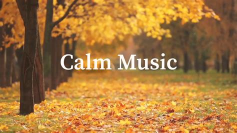 Calm Music | Relaxing Music | Soft Music | Sleeping Music | Chill Music ...