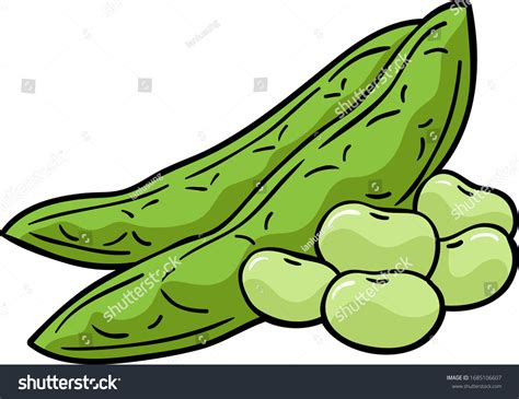 39 Cartoon Lima Beans Royalty-Free Photos and Stock Images | Shutterstock